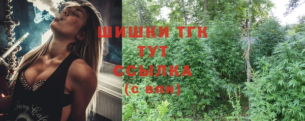 сатива Гусев