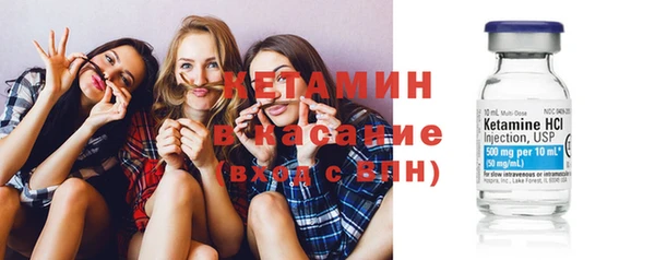 сатива Гусев