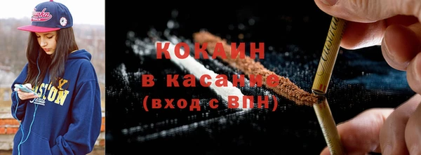 сатива Гусев