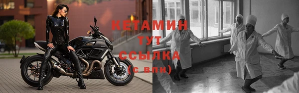 сатива Гусев