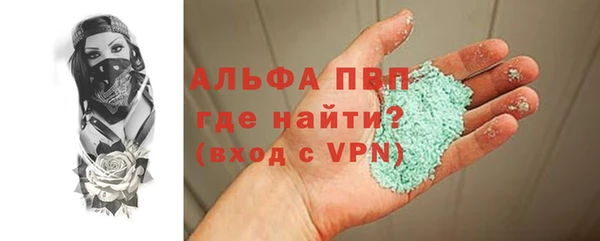 сатива Гусев