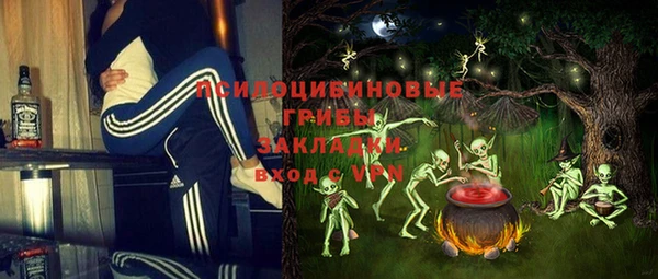 сатива Гусев