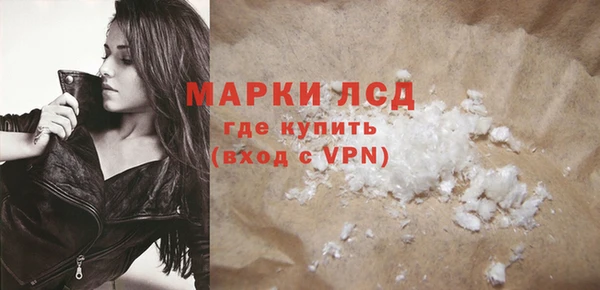 сатива Гусев